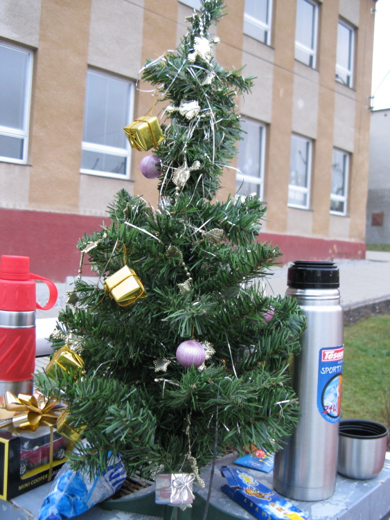 IMG_6233.jpg